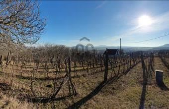 Eladó Lesencetomaji hétvégi ház hirdetés (27383633)