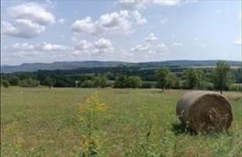 Eladó Nemesbüki lakóövezeti telek hirdetés (85379924)