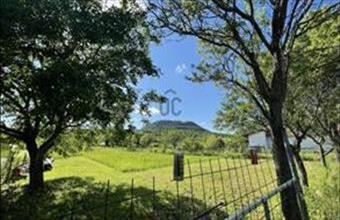 Eladó Gyulakeszi külterületi telek hirdetés (87834615)