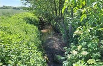 Eladó Bérbaltavári egyéb mezőgazdasági ingatlan hirdetés (46993626)