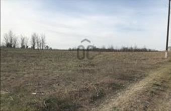 Eladó Tápióbicskei egyéb mezőgazdasági ingatlan hirdetés (77335499)