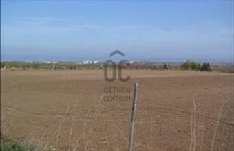 Eladó Siófoki egyéb mezőgazdasági ingatlan hirdetés (87844464)
