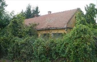 Eladó Bagaméri családi ház hirdetés (44845571)