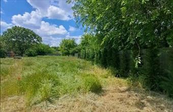 Eladó Debreceni lakóövezeti telek hirdetés (73276394)