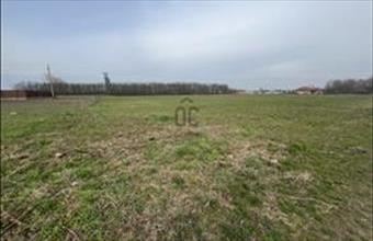 Eladó Hajdúsámsoni lakóövezeti telek hirdetés (53357652)