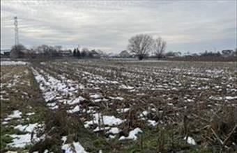 Eladó Hajdúsámsoni lakóövezeti telek hirdetés (77473723)