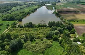 Eladó Ordacsehi külterületi telek hirdetés (59933973)