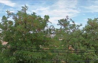 Eladó Budapest III. kerületi tégla lakás hirdetés (47443474)