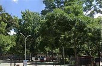 Eladó Budapest VII. kerületi tégla lakás hirdetés (88893782)