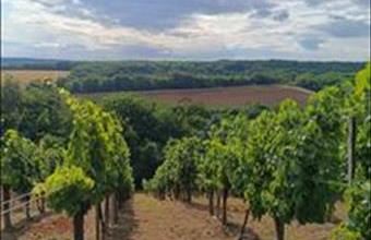 Eladó Nagykanizsai hétvégi ház hirdetés (54772461)