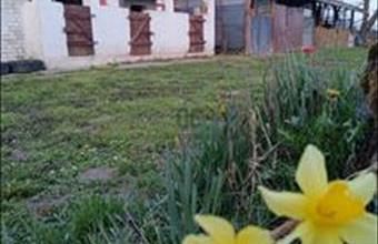 Eladó Molnári családi ház hirdetés (97982485)