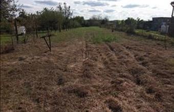 Eladó Nagykanizsai lakóövezeti telek hirdetés (43799768)