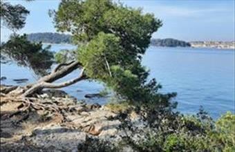 Eladó Horvátországi tégla lakás hirdetés (96342469)