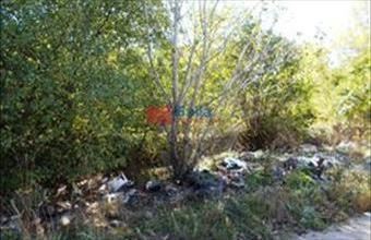 Eladó Szigetszentmiklósi egyéb telek hirdetés (45252534)