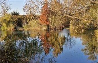 Eladó Szolnoki külterületi telek hirdetés (82233153)