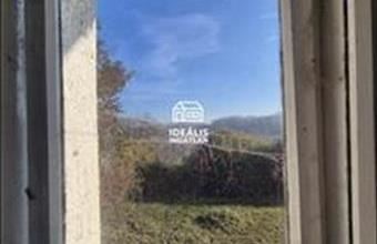 Eladó Tiszalúci családi ház hirdetés (41644333)