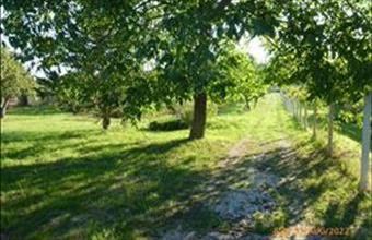 Eladó Siófoki lakóövezeti telek hirdetés (68686187)