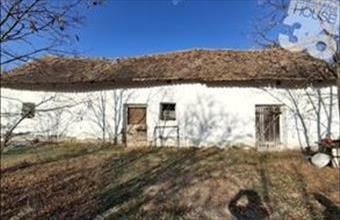 Eladó Petőfiszállási tanya hirdetés (44523217)