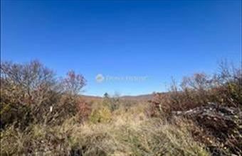 Eladó Pomázi egyéb telek hirdetés (59466726)