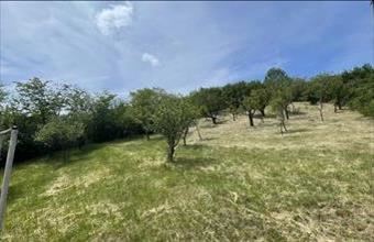 Eladó Sátoraljaújhelyi egyéb mezőgazdasági ingatlan hirdetés (42368473)