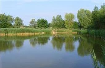 Eladó Nyíregyházai családi ház hirdetés (72444764)