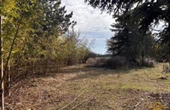 Eladó Tököli lakóövezeti telek hirdetés (73241297)