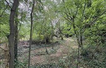 Eladó Balatonedericsi lakóövezeti telek hirdetés (32878872)