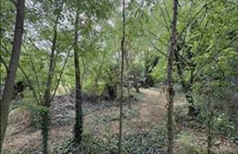 Eladó Balatonedericsi lakóövezeti telek hirdetés (32878872)