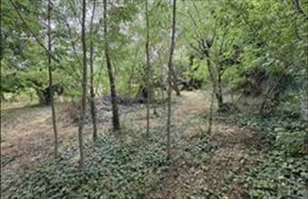 Eladó Balatonedericsi lakóövezeti telek hirdetés (32878872)