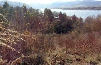 Eladó Zebegényi lakóövezeti telek hirdetés (42378577)