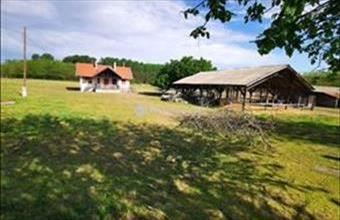 Eladó Örkényi tanya hirdetés (45934927)