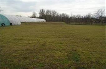 Eladó Cserkeszőlői egyéb telek hirdetés (75418894)