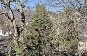 Eladó Budapest II. kerületi tégla lakás hirdetés (76784425)