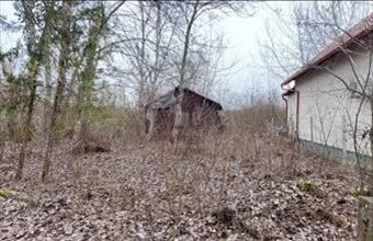 Eladó Ráckevei üdülőövezeti telek hirdetés (37375323)