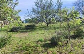 Eladó Mogyoródi egyéb mezőgazdasági ingatlan hirdetés (47595332)