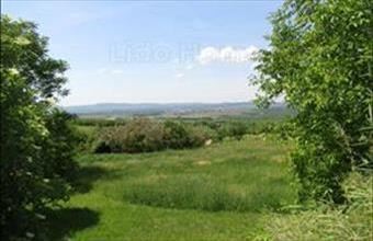 Eladó Gyulakeszi zártkert hirdetés (25441433)