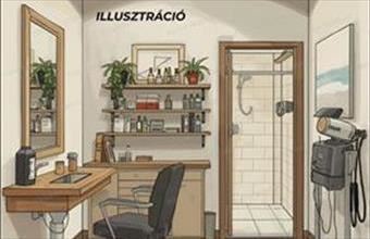 Eladó Kecskeméti egyéb üzlethelyiség hirdetés (62349522)