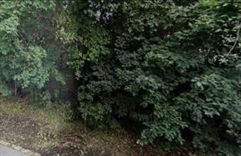 Eladó Budapest II. kerületi egyéb telek hirdetés (29573473)