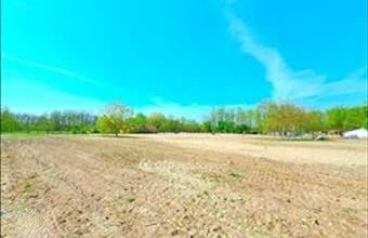 Eladó Helvéciai külterületi telek hirdetés (62735275)