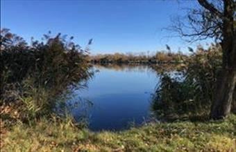 Eladó Békési egyéb telek hirdetés (37648258)