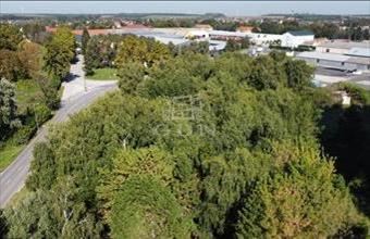 Eladó Bábolnai telephely hirdetés (72996328)