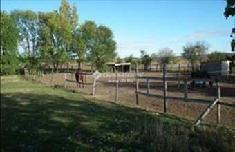 Eladó Nagytarcsai tanya hirdetés (33343945)