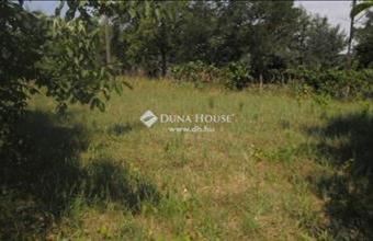 Eladó Szadai külterületi telek hirdetés (43443784)