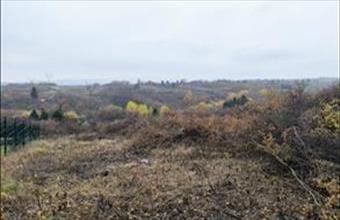 Eladó Miskolci lakóövezeti telek hirdetés (75386394)