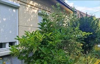 Eladó Budapest XVII. kerületi családi ház hirdetés (45374247)