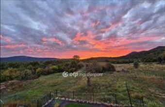 Eladó Solymári családi ház hirdetés (23999455)