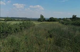 Eladó Balatonkenesei egyéb mezőgazdasági ingatlan hirdetés (72233476)