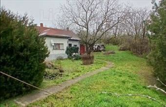 Eladó Balatonfőkajári családi ház hirdetés (12593328)