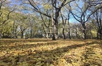 Eladó Budapest XIV. kerületi panel lakás hirdetés (51597927)