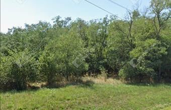 Eladó Pápoci lakóövezeti telek hirdetés (83495558)